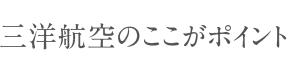 三洋航空のここがポイント